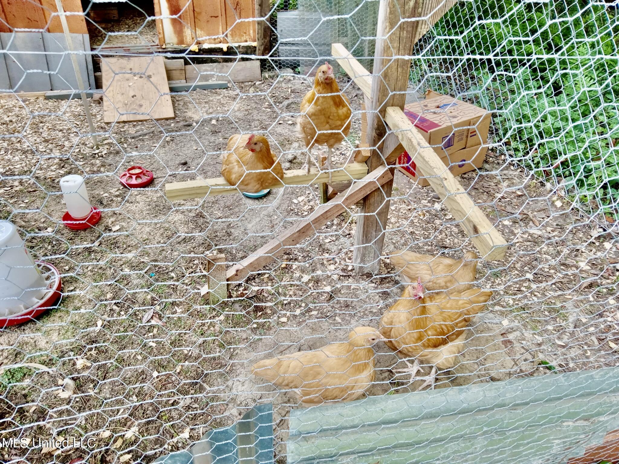 7853 Petunia Road Gautier, MS 39553 - Photo 15 of 16 1785772398421869790