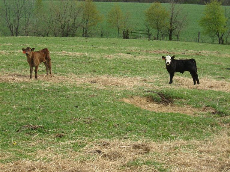 2404 Jackstown Road Carlisle, KY 40311 - Photo 9 of 36 Photo 9