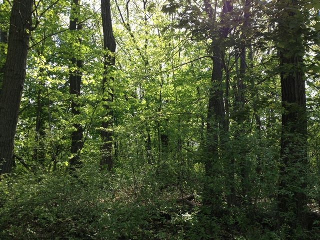 Lt2 Aspinall Lane, Lake Geneva, WI 53147