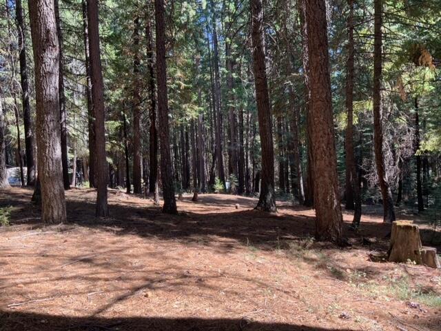 8683 Lake McCumber Road Shingletown, CA 96088 - Photo 24 of 32 image12