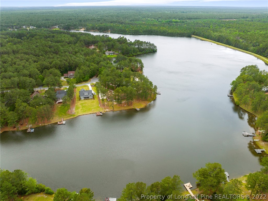 30420 East Lake Road Wagram, NC 28396 - Photo 6 of 35 an aerial view of a house with a yard and lake view