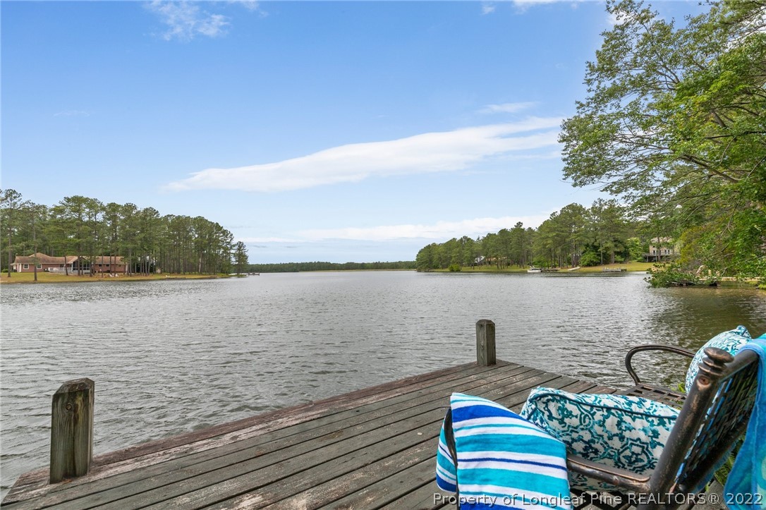 30420 East Lake Road Wagram, NC 28396 - Photo 9 of 35 a view of lake