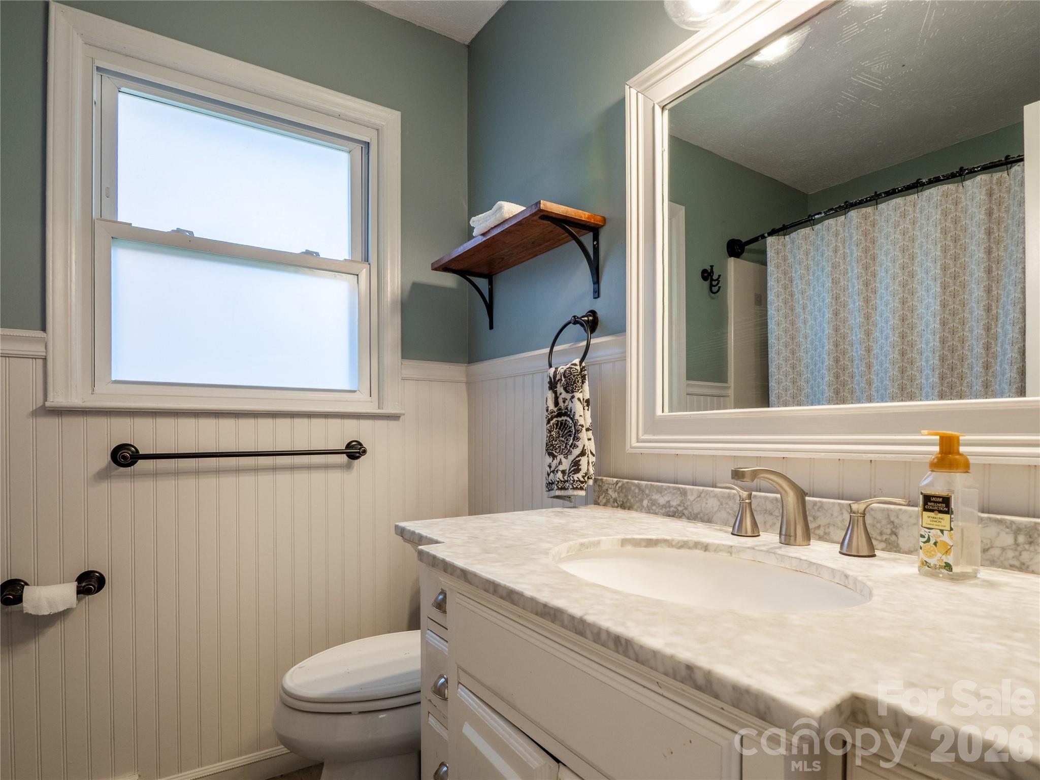 203 Oak Grove Road East Flat Rock, NC 28726 - Photo 11 of 24 a bathroom with a granite countertop sink toilet and mirror