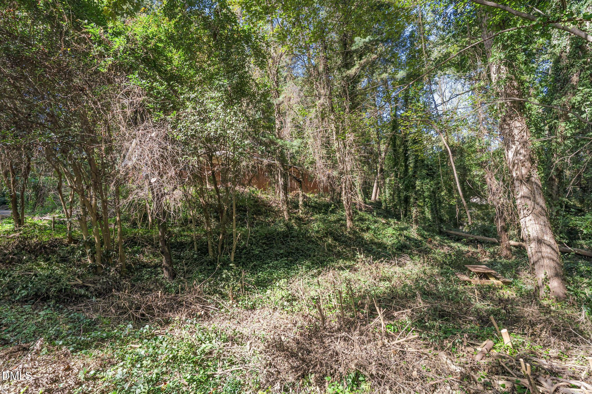 1312 Onslow Road Raleigh, NC 27606 - Photo 26 of 26 a view of a forest with trees in back