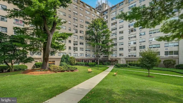 a garden with tall buildings