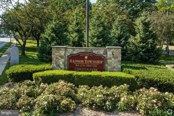 a view of a park with large trees