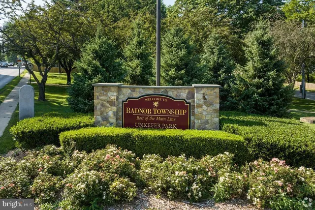 a view of a park with large trees