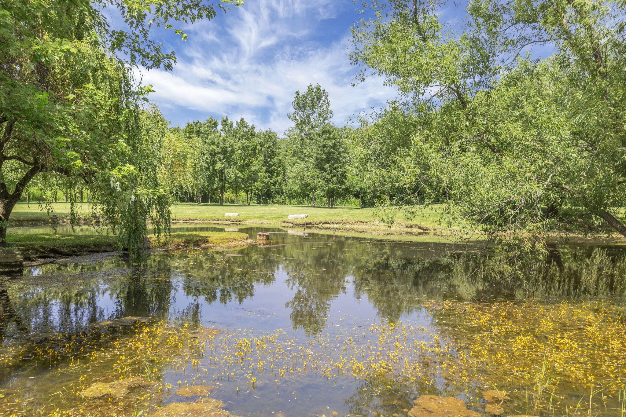 6646 Duffy Road Delaware, OH 43015 - Photo 42 of 61 Pond View