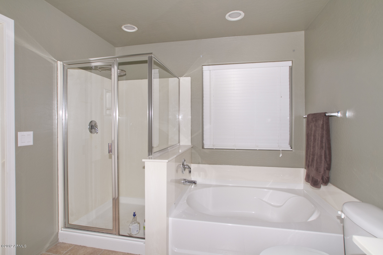 17762 West Hearn Road Surprise, AZ 85388 - Photo 9 of 17 Master Bath 2