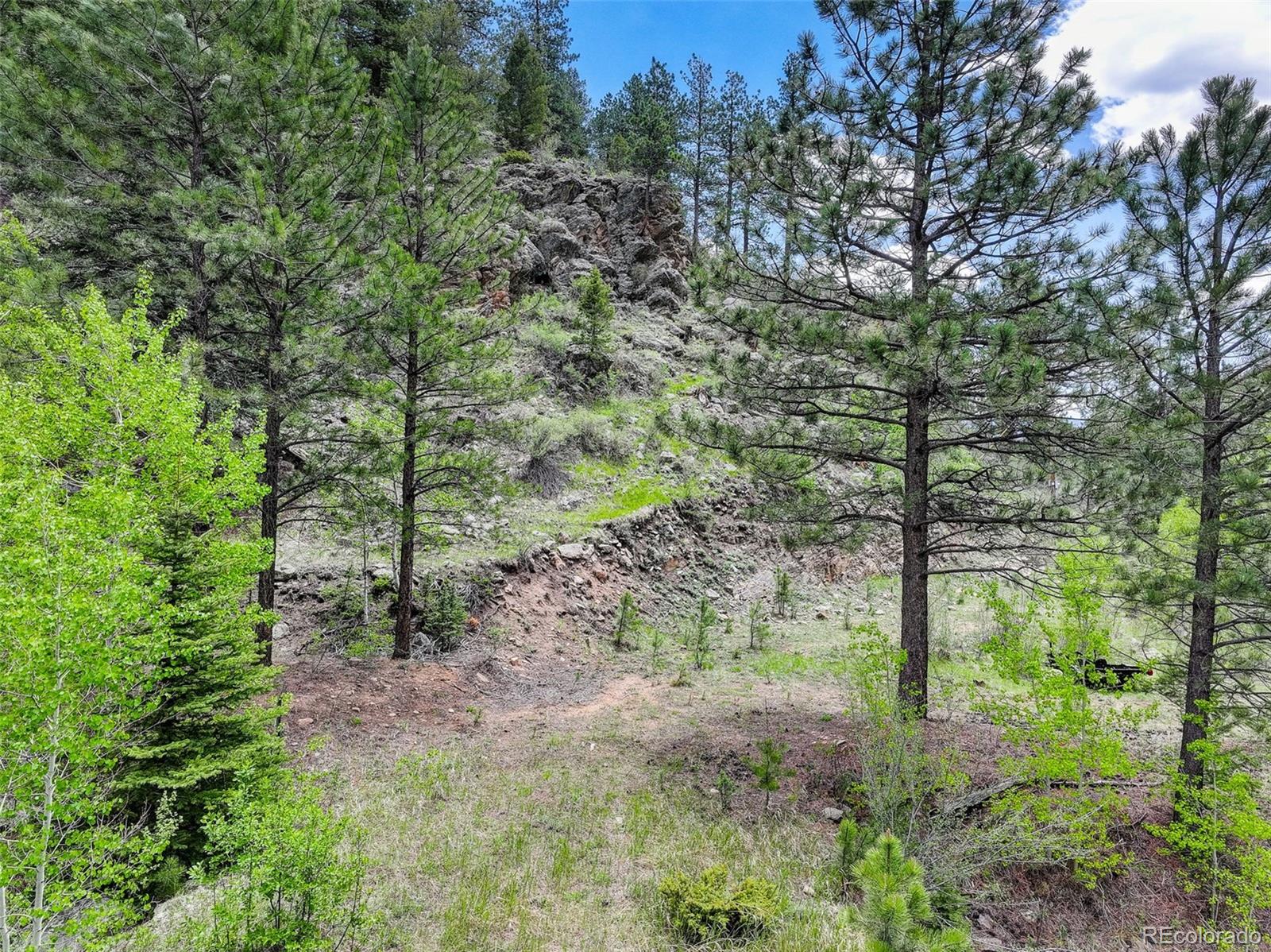 400 Crow Valley Road Bailey, CO 80421 - Photo 19 of 28