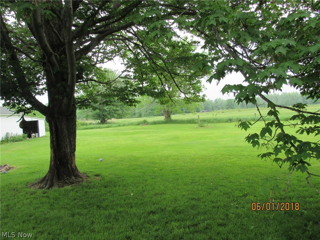 4444 Austin Road Geneva, OH 44041 - Photo 22 of 26 Shade tree at back of the house. Perfect spot for a Hammock and enjoying a cold glass of ice tea on a hot summer day.