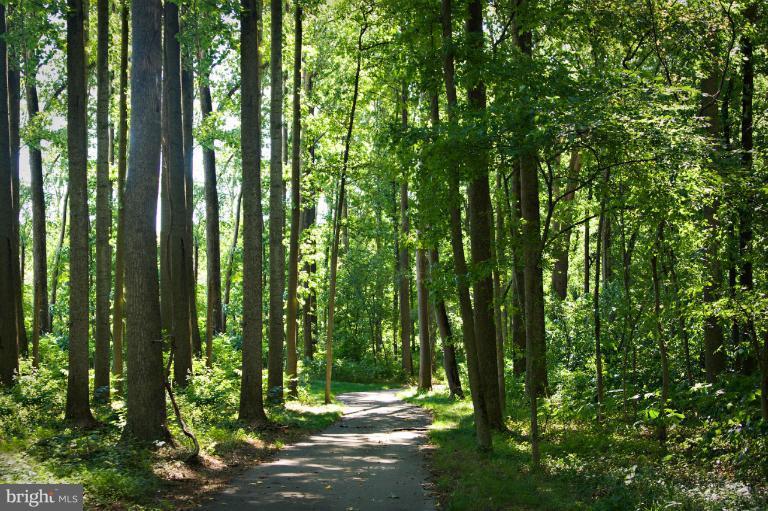 4029 Bridle Ridge Road Upper Marlboro, MD 20772 - Photo 29 of 30 Community Walking/Biking/Jogging Paths