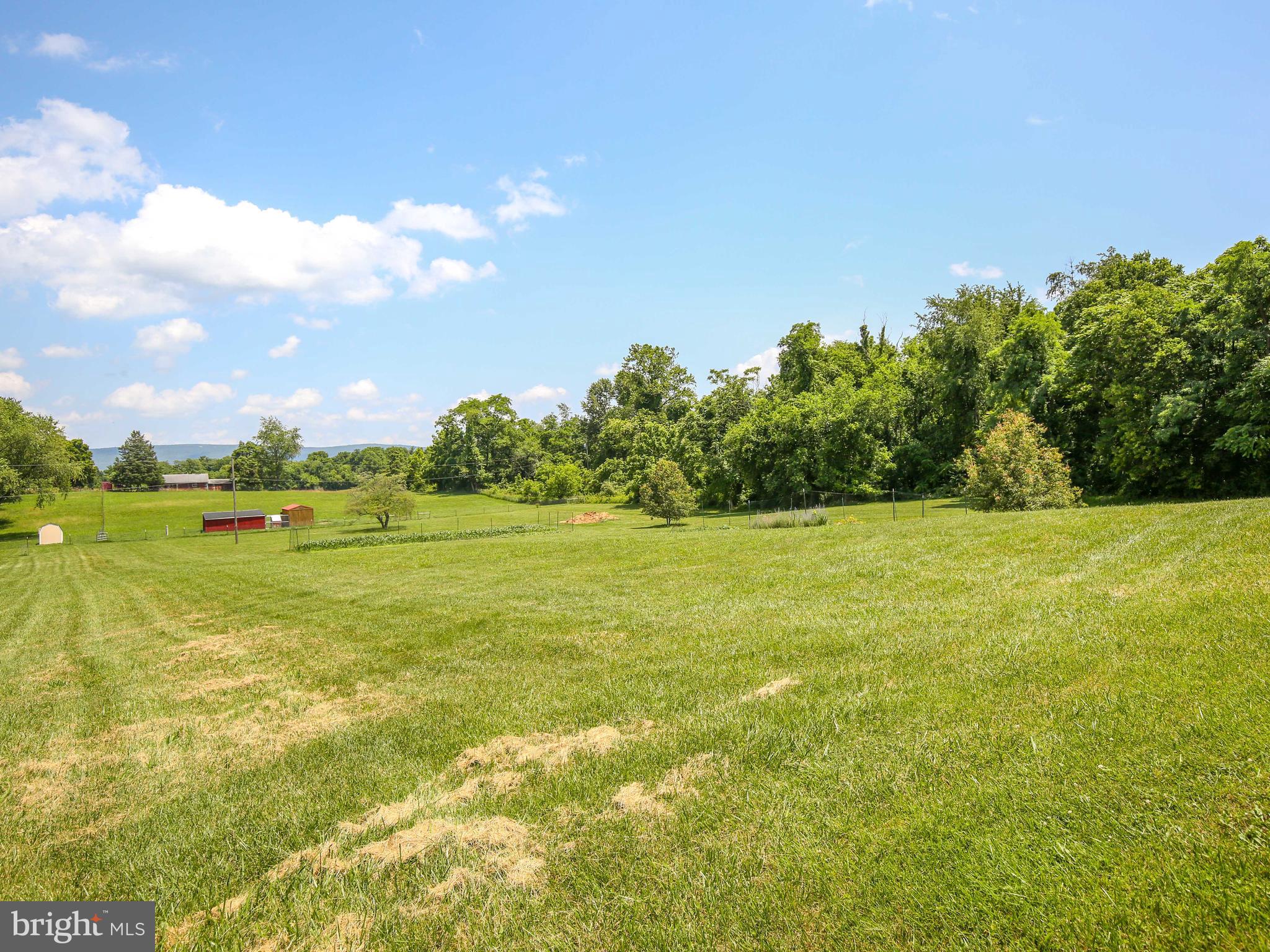3374 Shepherds Mill Road Berryville, VA 22611 - Photo 5 of 38 Gallery Image 5
