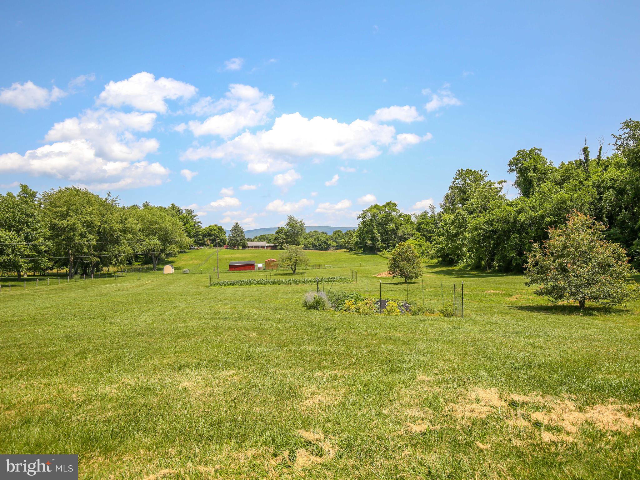 3374 Shepherds Mill Road Berryville, VA 22611 - Photo 6 of 38 Gallery Image 6