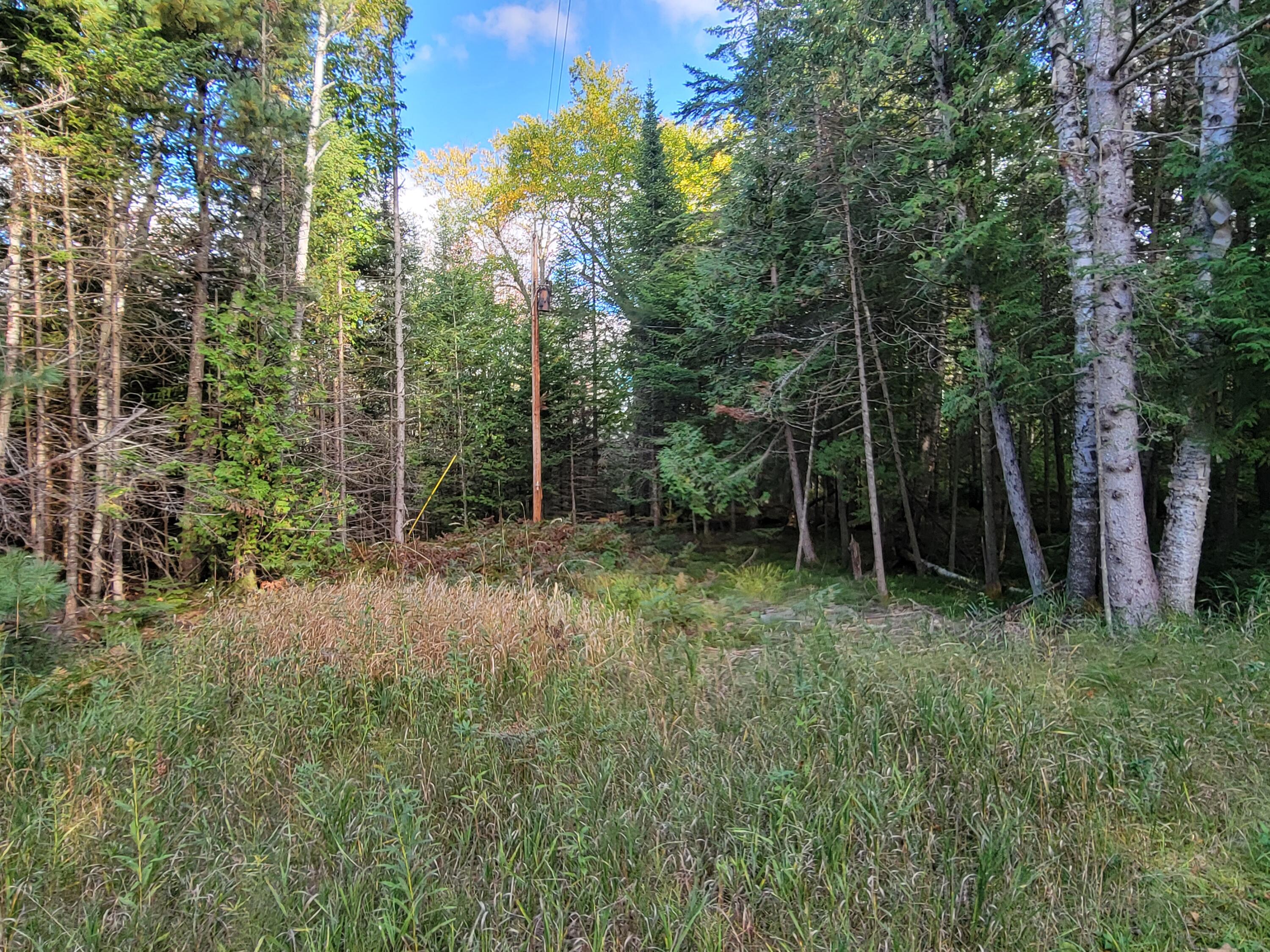 Lot 1 Brevort Camp Road Moran, MI 49760 - Photo 31 of 66 Gallery Image 31