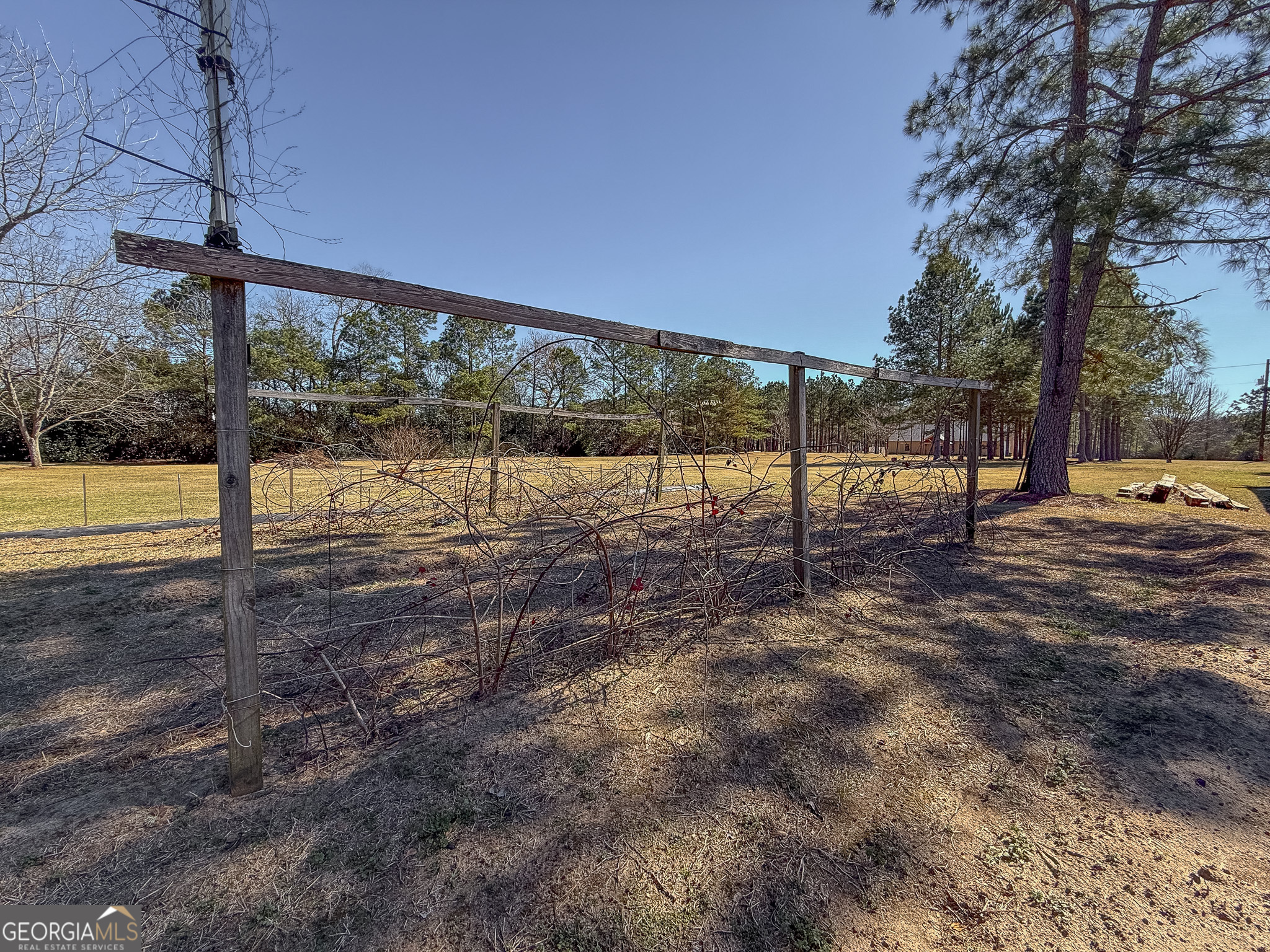 162 College Street Parrott, GA 39877 - Photo 28 of 30 a view of a park