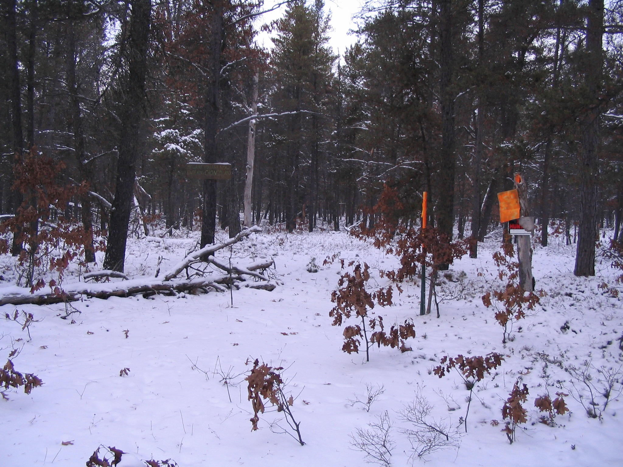 1 Rustic Lane Grayling, MI 49738 - Photo 4 of 6 Gallery Image 4