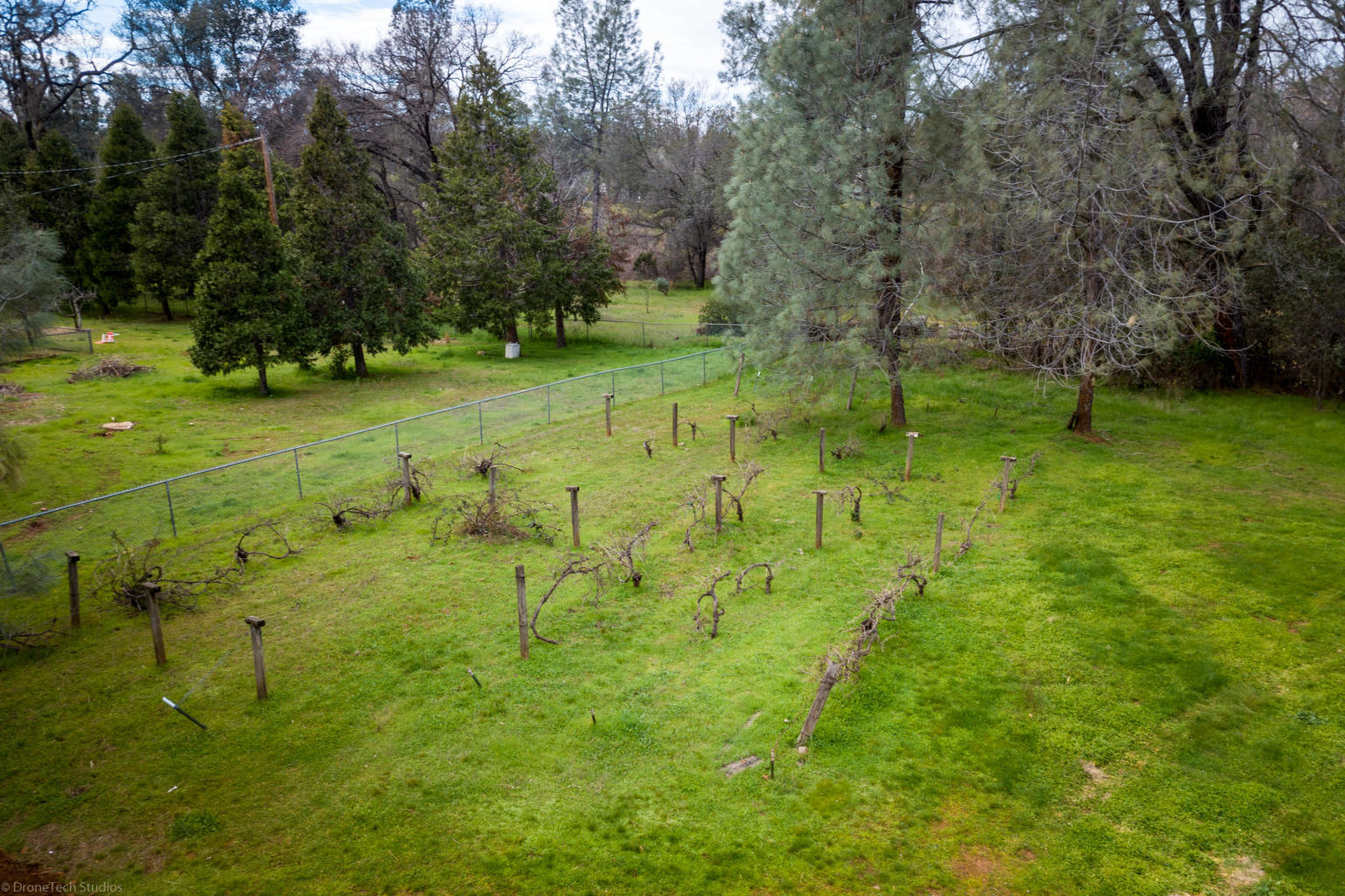1566 Old Alturas Road Redding, CA 96003 - Photo 47 of 50 a view of an outdoor space and a yard