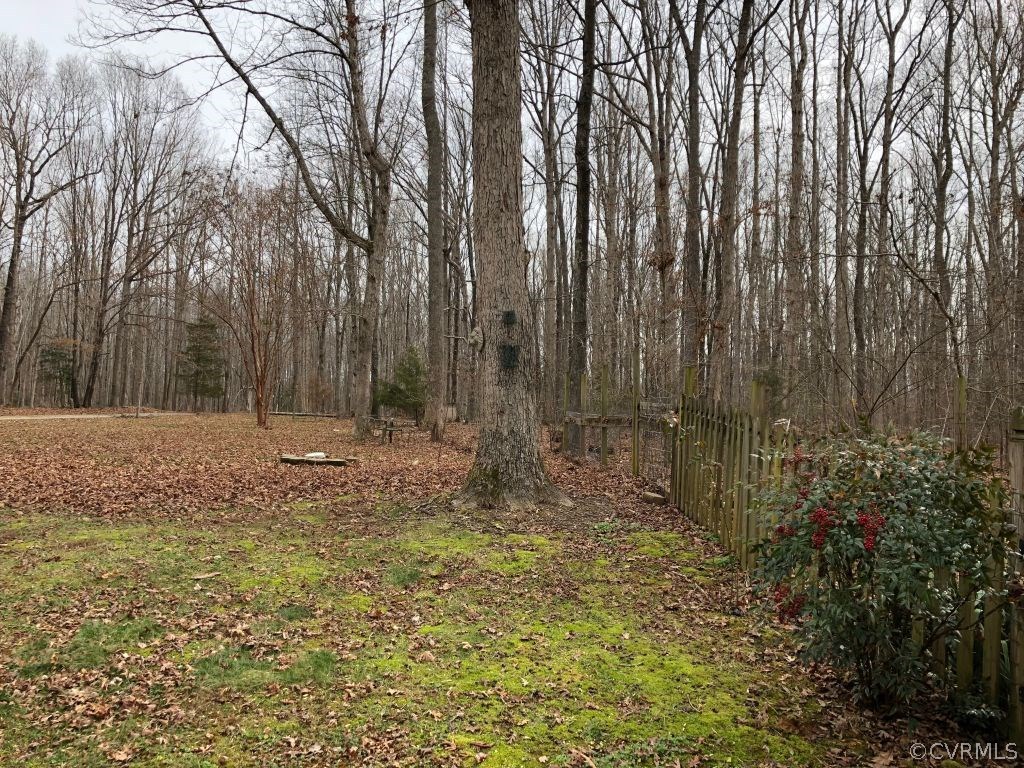 3301 Duke Road Powhatan, VA 23139 - Photo 4 of 4 Gallery Image 4