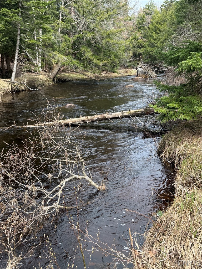 West Road Forestport, NY 13338 - Photo 3 of 11