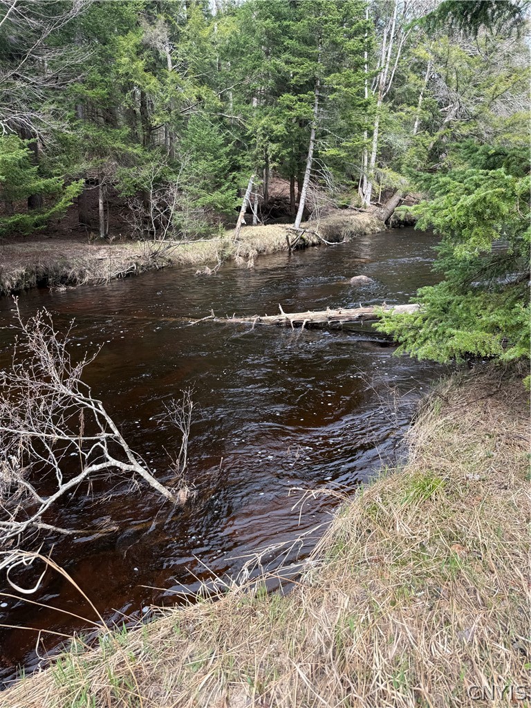 West Road Forestport, NY 13338 - Photo 4 of 11