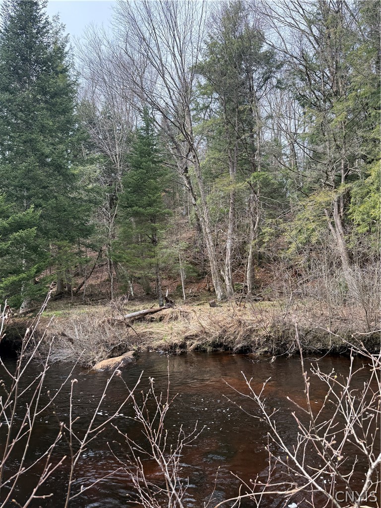 West Road Forestport, NY 13338 - Photo 6 of 11