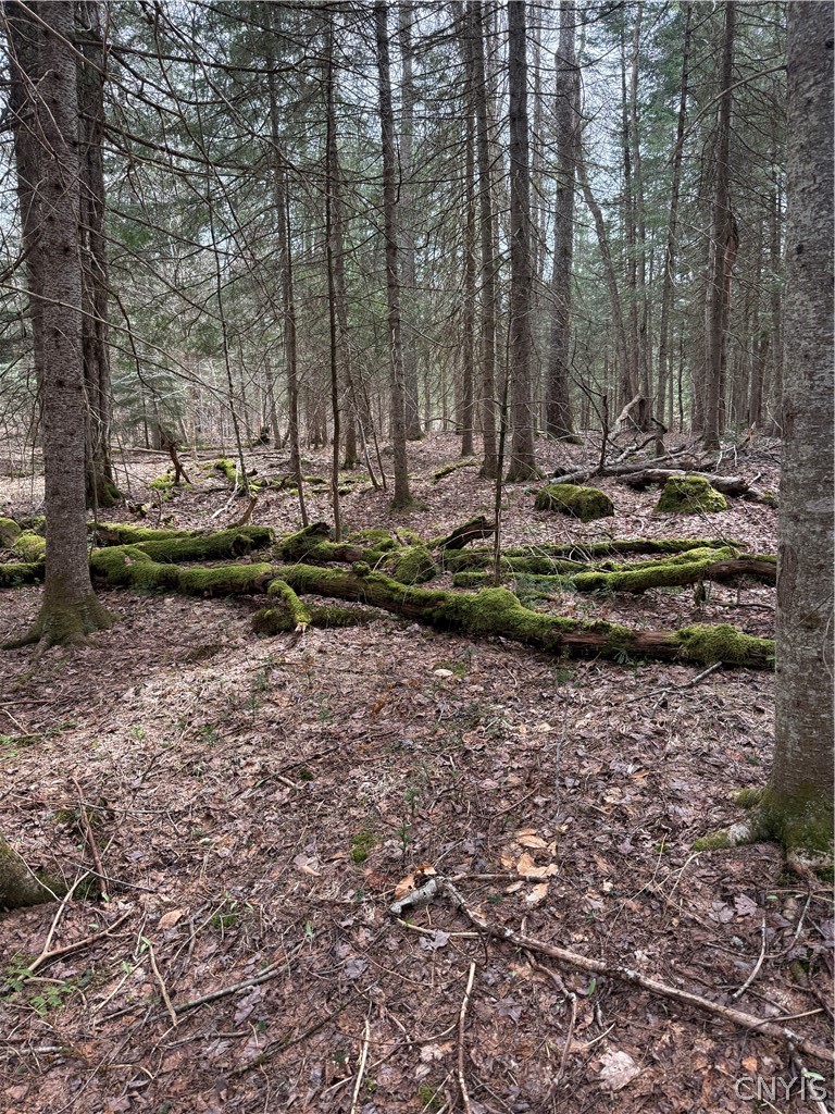 West Road Forestport, NY 13338 - Photo 8 of 11