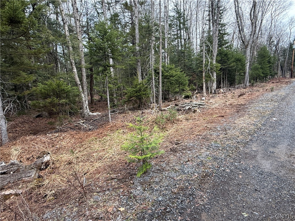 West Road Forestport, NY 13338 - Photo 10 of 11