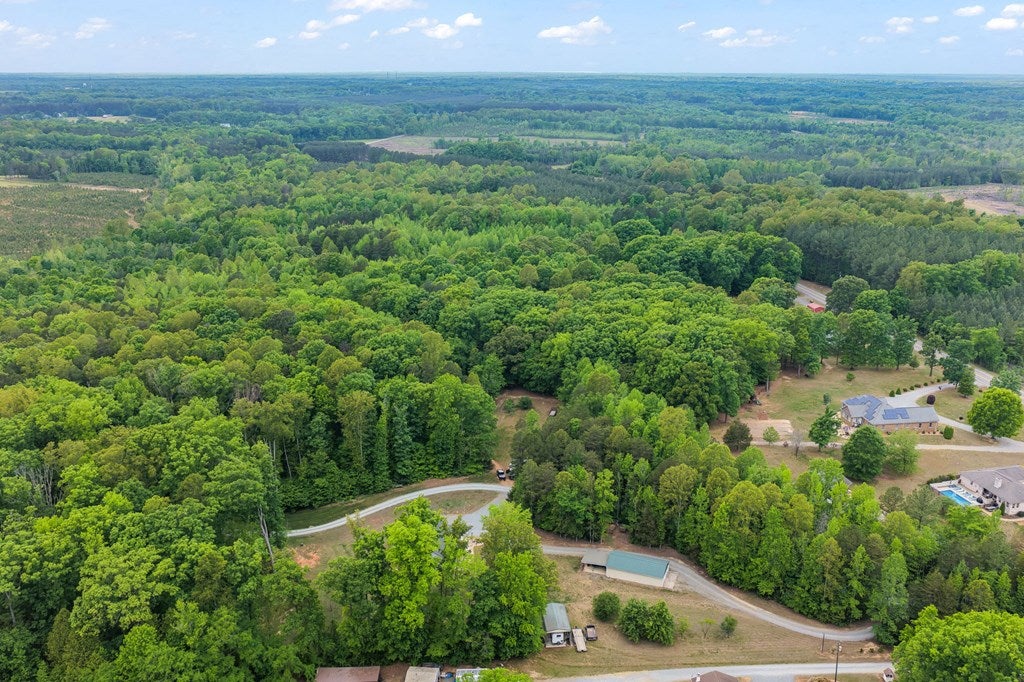 3064 Bellevue Road Halifax, VA 24558 - Photo 7 of 56 Gallery Image 7