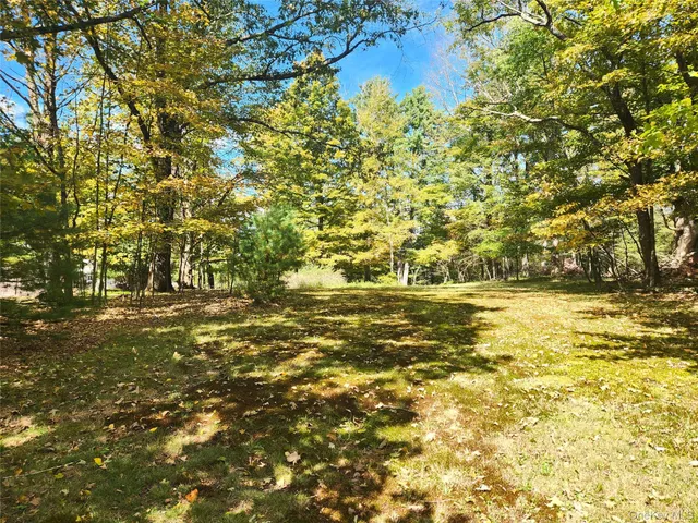 a view of yard with green space