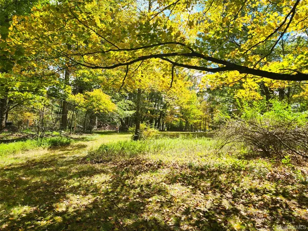 $319,000 | 107 East Thompson Place, Smallwood, NY 12778