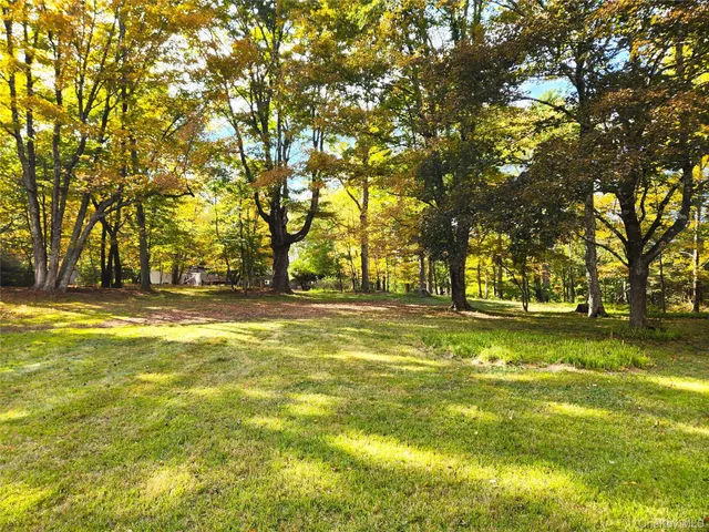 an aerial view of street and flowers