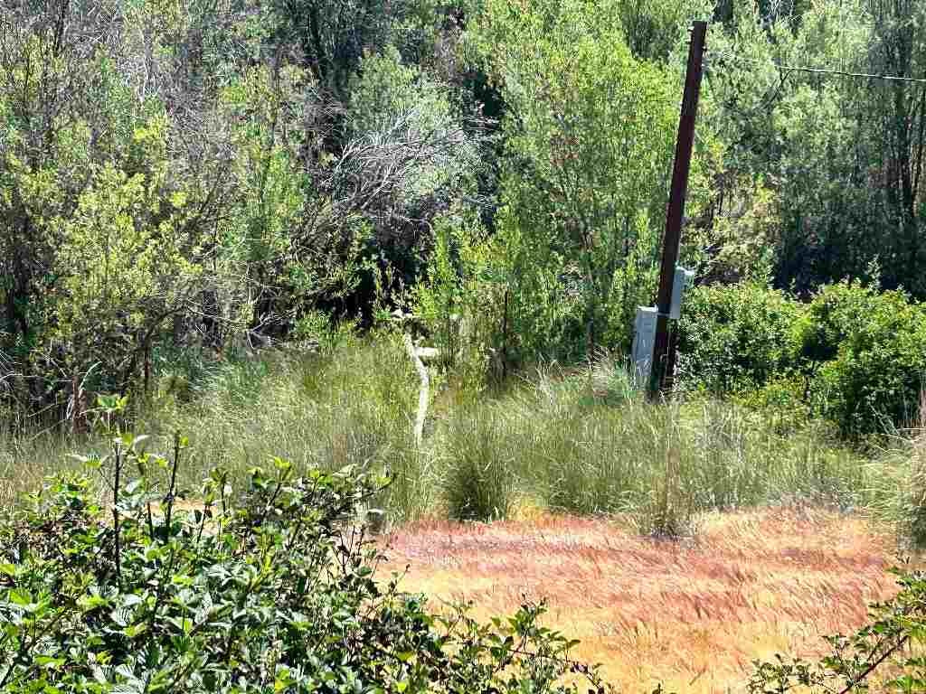 4435 Anderson Grade Road Yreka, CA 96097 - Photo 37 of 40 Gallery Image 37