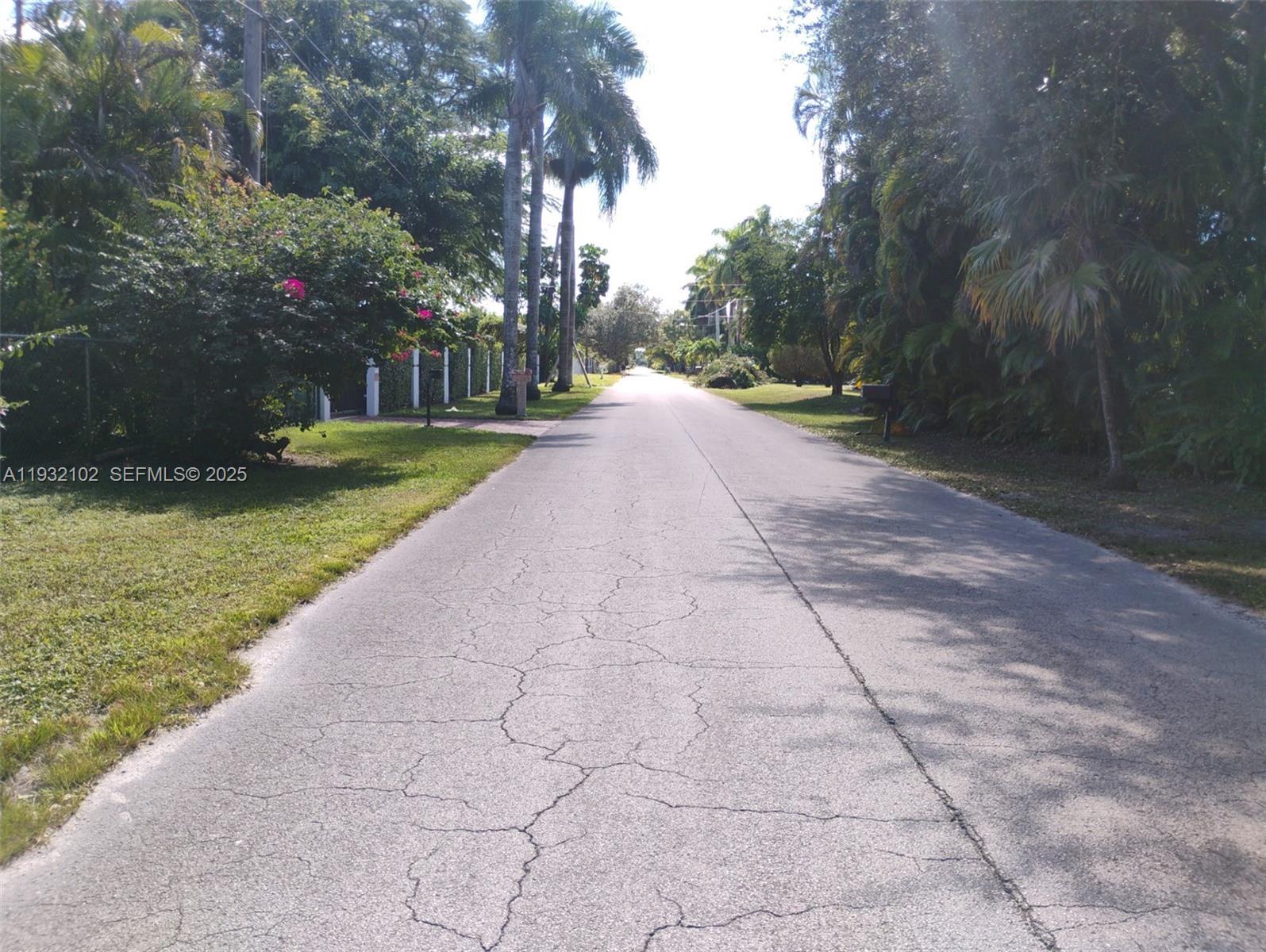 16021 Southwest 173rd Avenue Miami, FL 33187 - Photo 11 of 30 a view of a yard with plants and trees