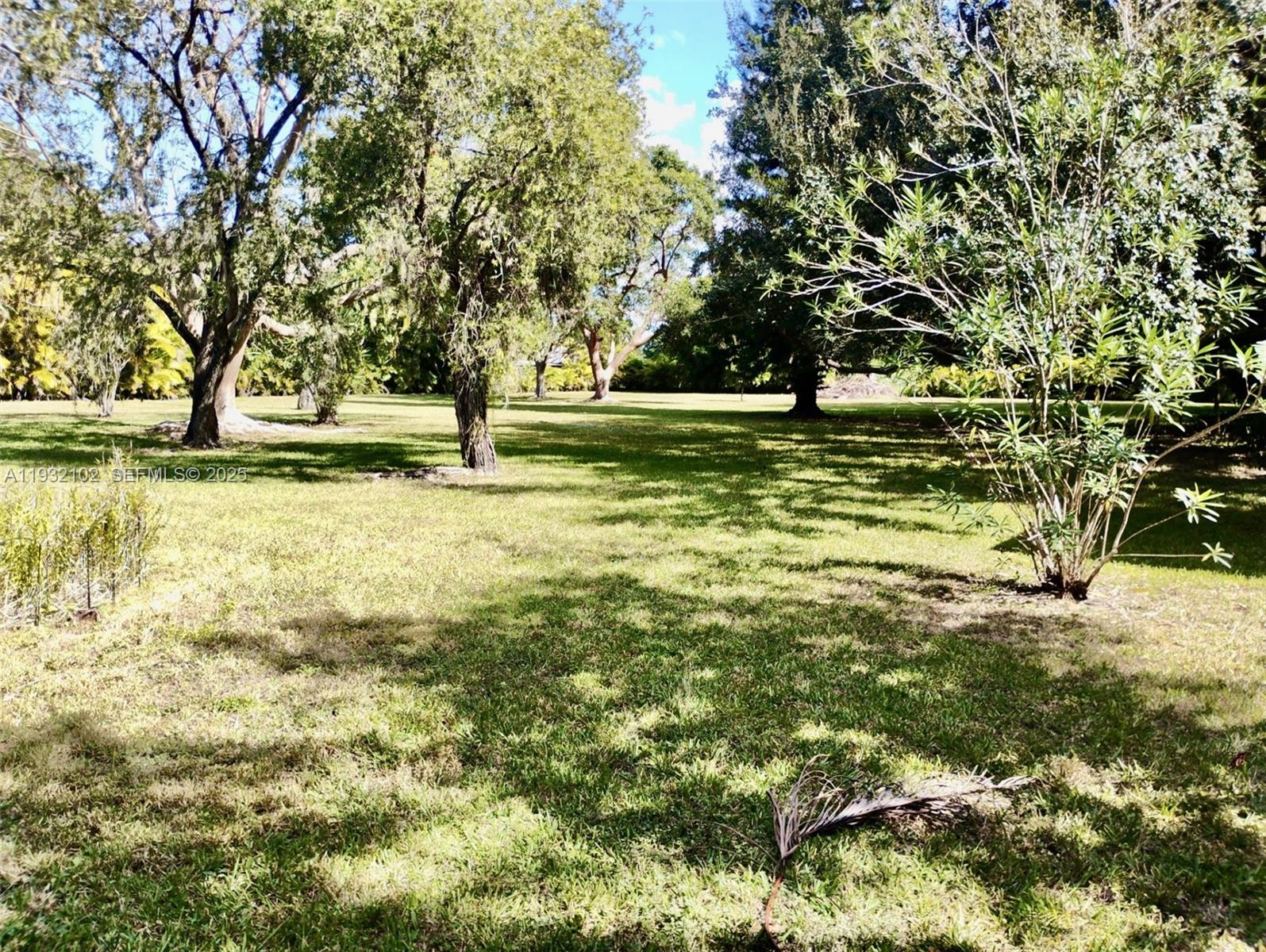 16021 Southwest 173rd Avenue Miami, FL 33187 - Photo 14 of 30 a view of yard with trees