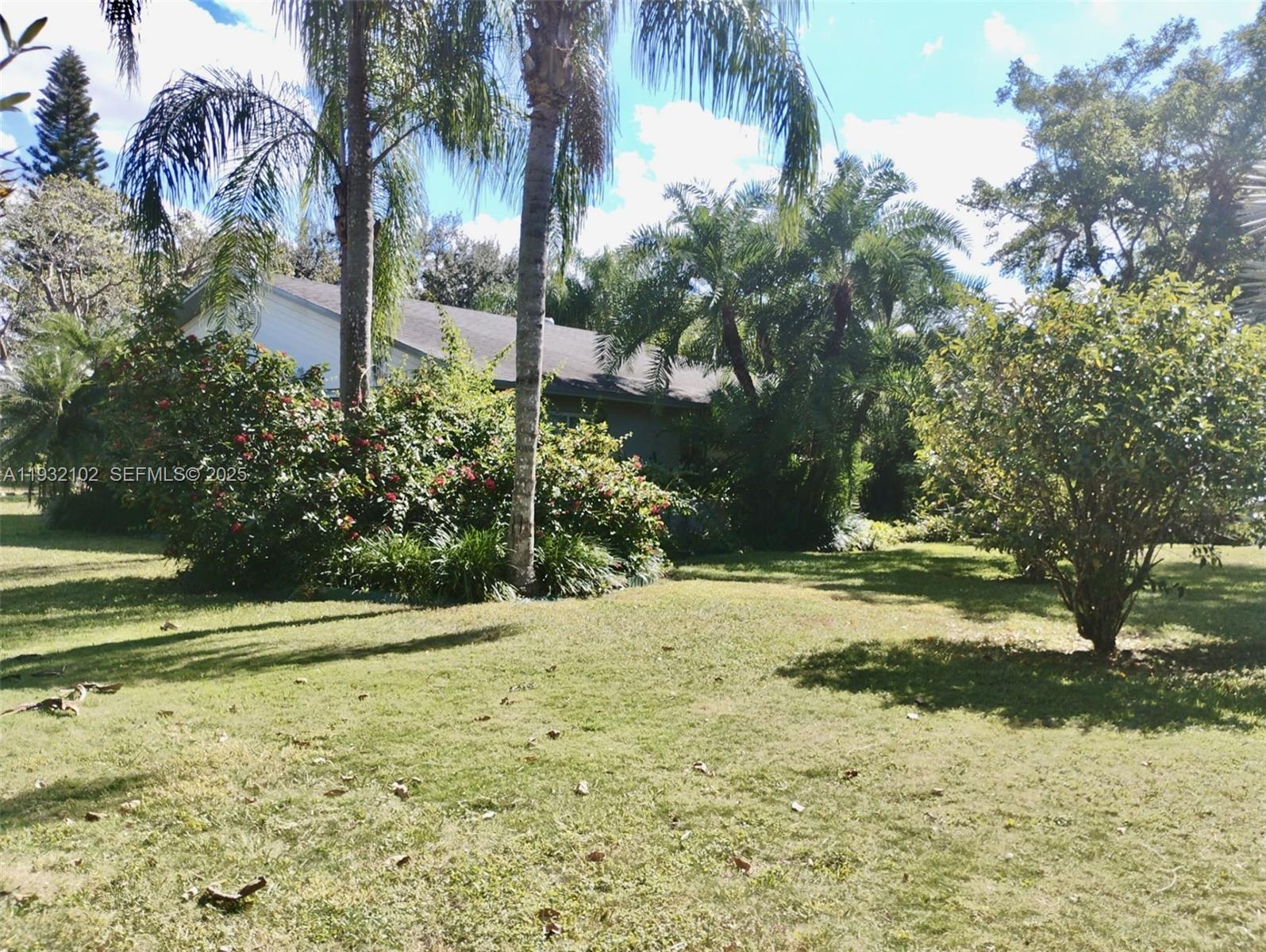 16021 Southwest 173rd Avenue Miami, FL 33187 - Photo 16 of 30 a view of a yard with plants and trees