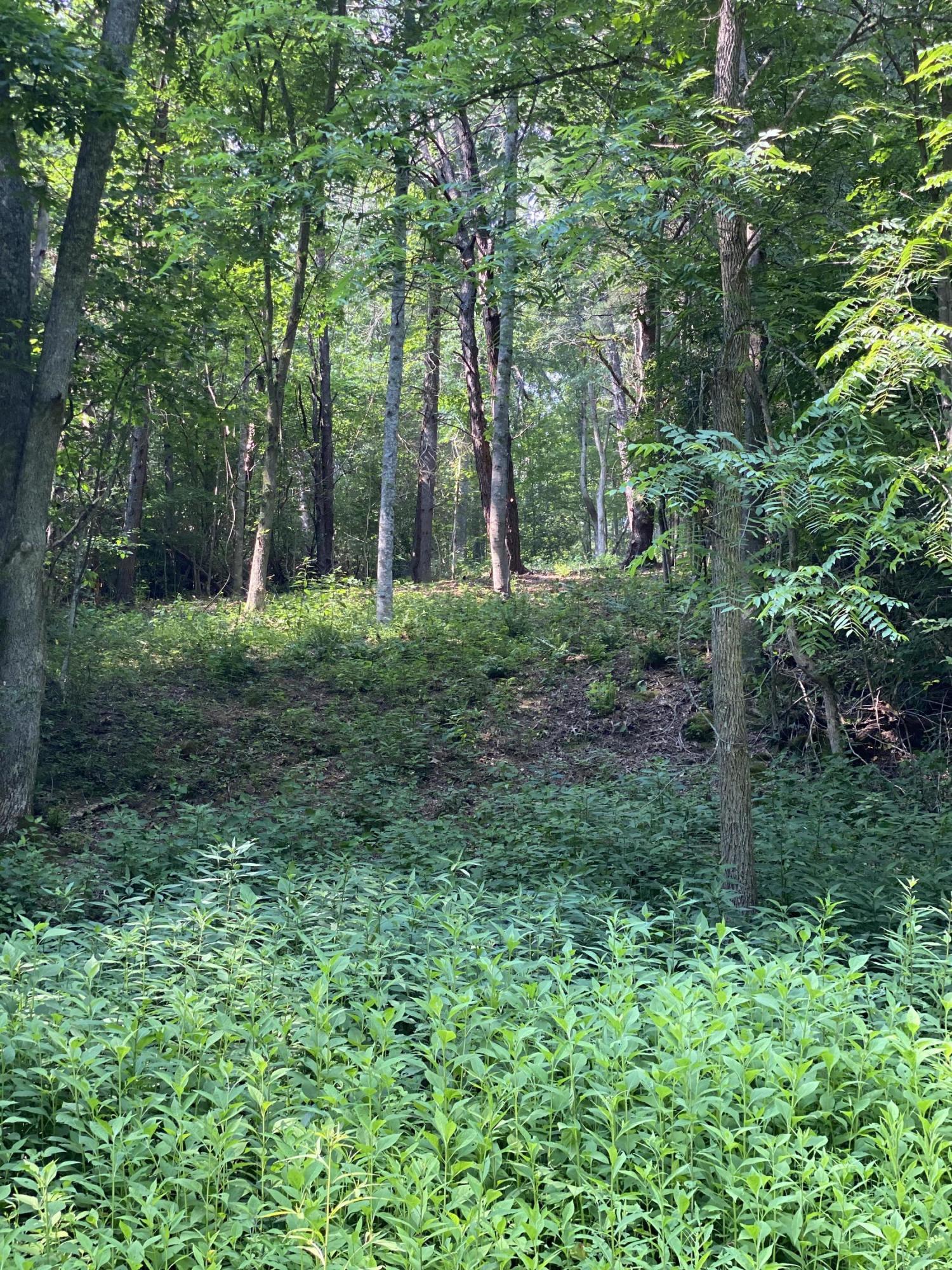 22 West Of Dry Hill Road, Unit 22 Butler, TN 37640 - Photo 17 of 24 AA576207-DDD9-474A-B6E3-D9070D5CFE0D