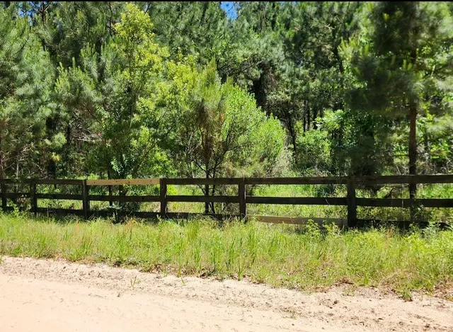 $310,000 | Tbd South E 78th Place, White Springs, FL 32096