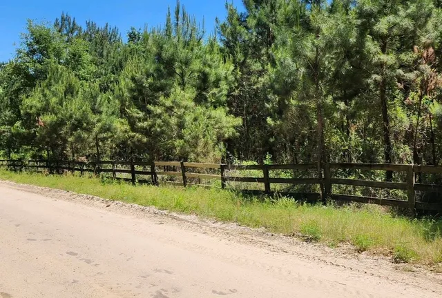 $310,000 | Tbd South E 78th Place, White Springs, FL 32096