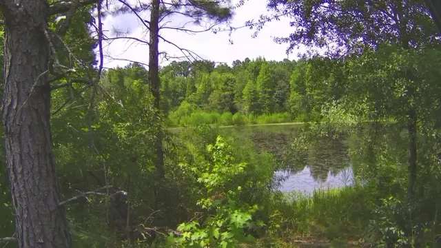 $310,000 | Tbd South E 78th Place, White Springs, FL 32096