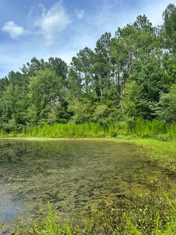 $310,000 | Tbd South E 78th Place, White Springs, FL 32096