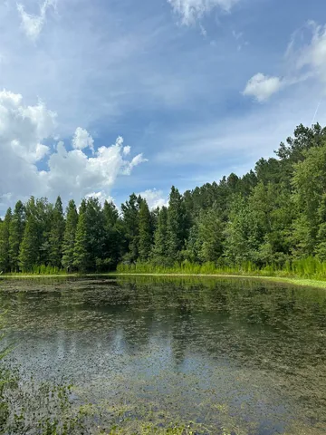 $310,000 | Tbd South E 78th Place, White Springs, FL 32096