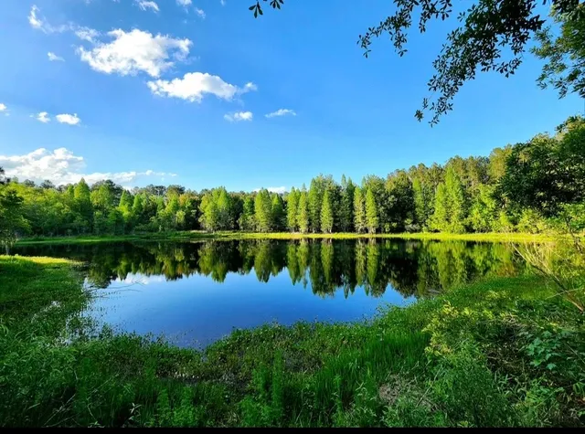 $310,000 | Tbd South E 78th Place, White Springs, FL 32096