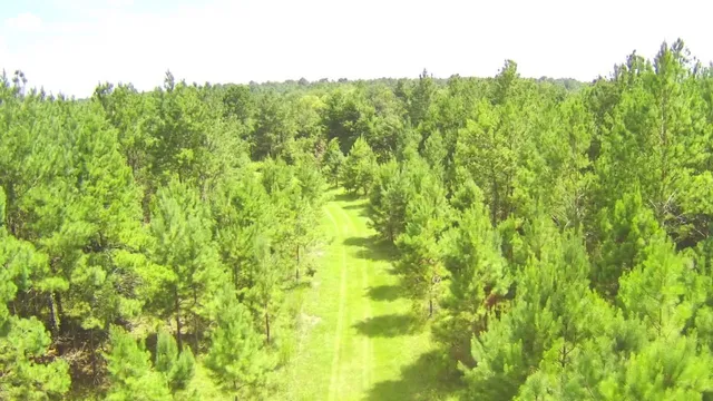 $310,000 | Tbd South E 78th Place, White Springs, FL 32096