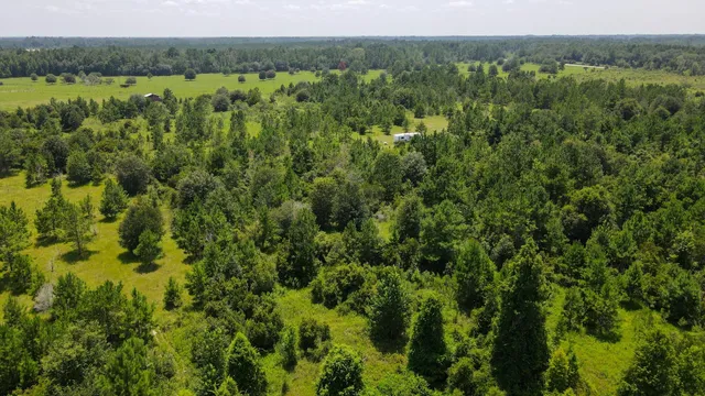 $310,000 | Tbd South E 78th Place, White Springs, FL 32096
