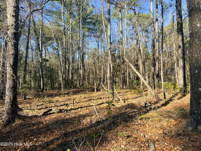 $419,900 | Lot 7 Peach Court, Burgaw, NC 28425