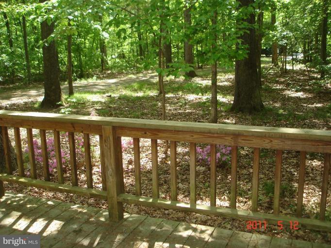 14651 Fox Chase Circle Ridgely, MD 21660 - Photo 3 of 10 Wooded View / Acreage