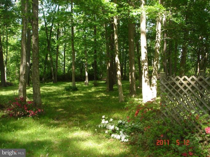 14651 Fox Chase Circle Ridgely, MD 21660 - Photo 10 of 10 Back yard
