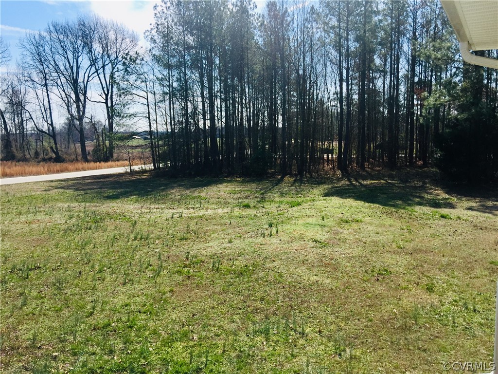 10008 Boisseau Road Sutherland, VA 23885 - Photo 23 of 39 Gallery Image 23