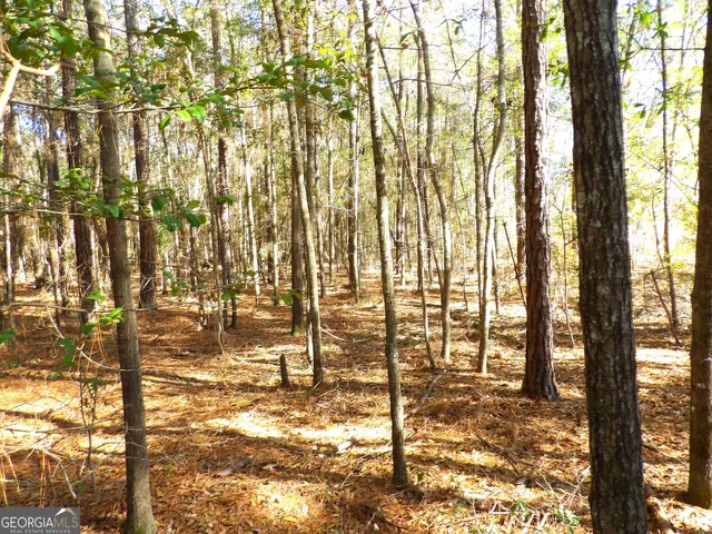 $639,000 | 124 Cherokee Drive, Guyton, GA 31312